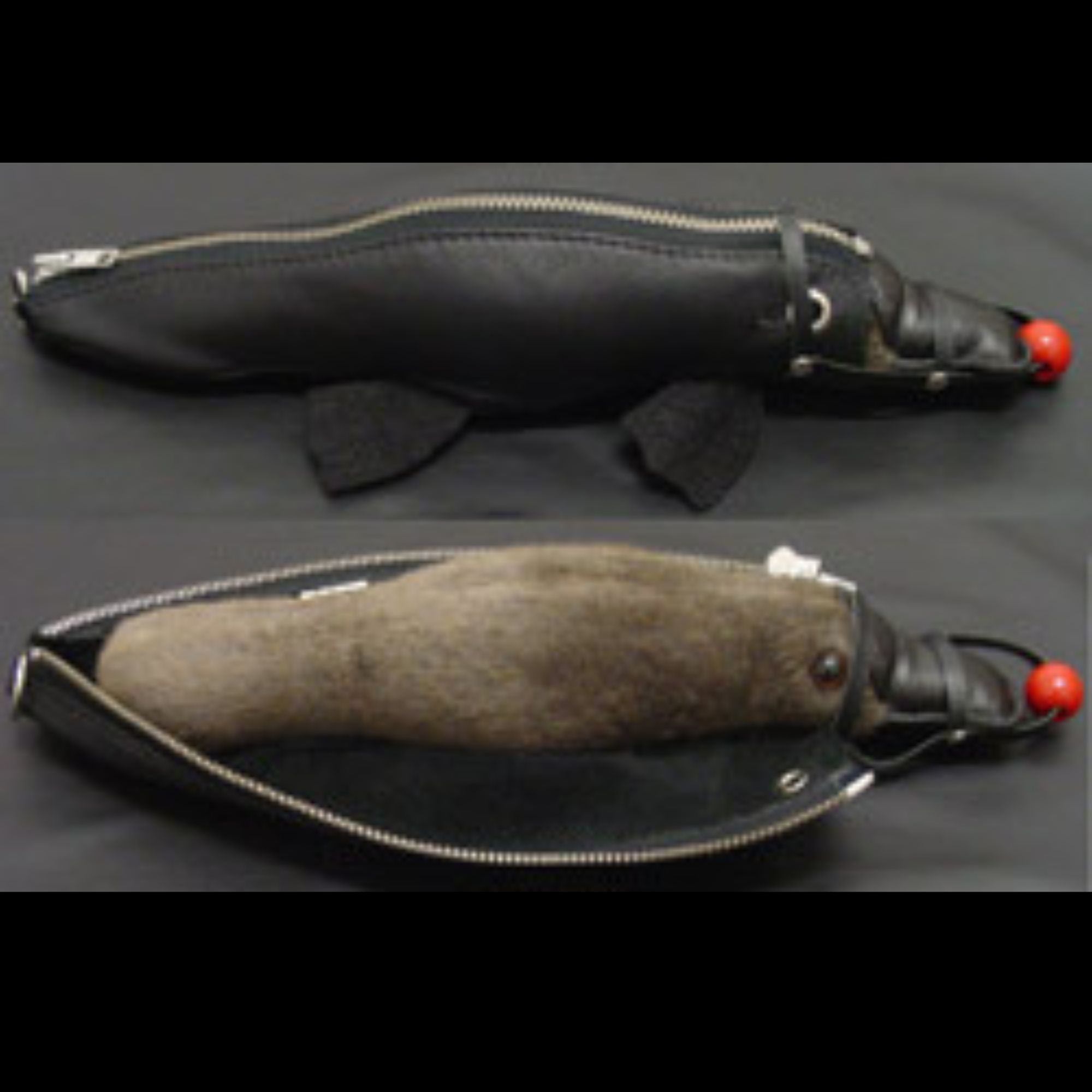 Platypus Gymp