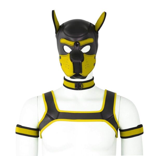 Yellow Neoprene Pup Mask Harness Kink Wear Gear Kit