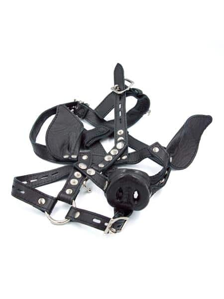 Mister B Pig Head Harness - Image 4
