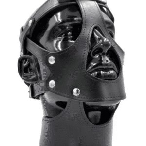 Mister B - Full Head Harness w Collar