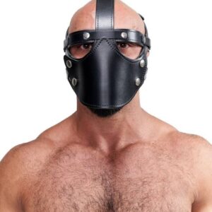 Mister B - Face Muzzle Harness