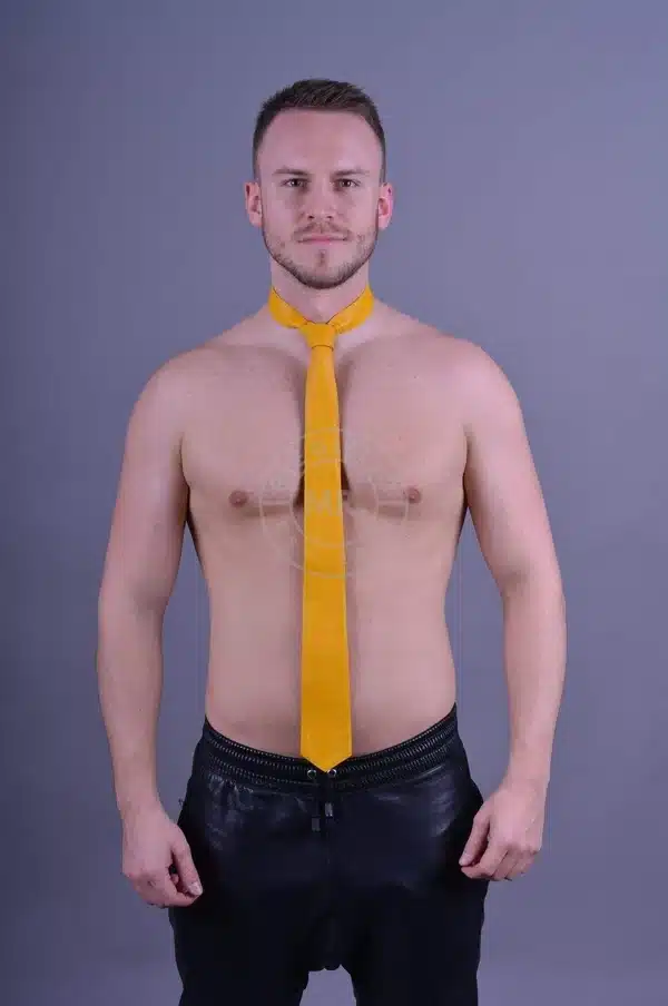Mr Riegillio Leather Tie - Image 2